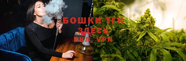 героин Алзамай