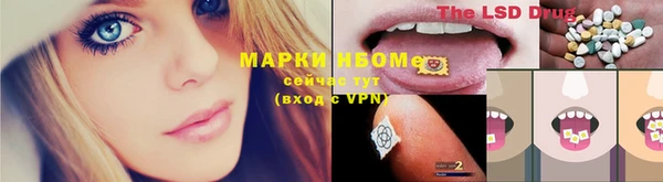 молекула духа Алексин