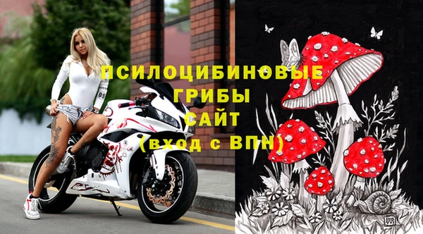 героин Алзамай